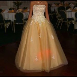 Sweet sixteen gown/dress